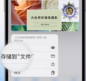 浚县apple维修中心分享iPhone文件应用中存储和找到下载文件