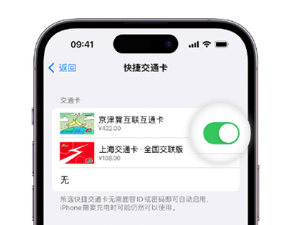 浚县apple维修点分享iPhone上更换Apple Pay快捷交通卡手绘卡面 