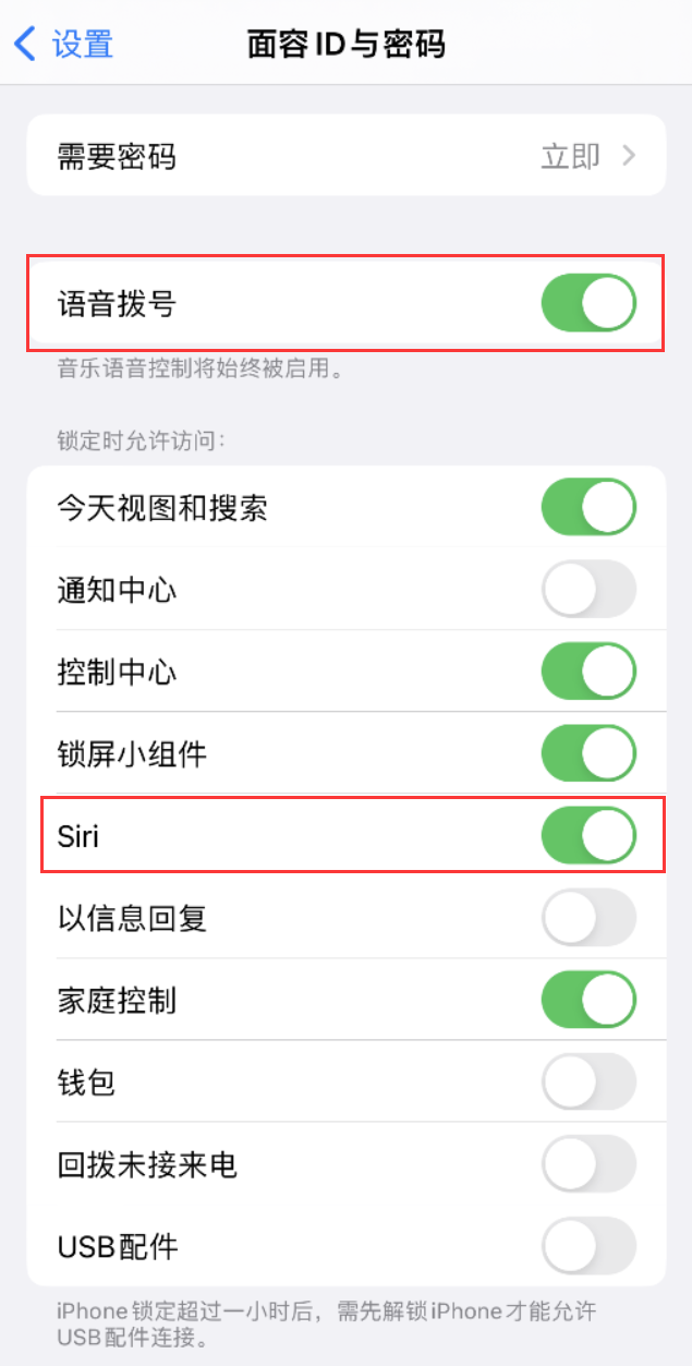 浚县苹果维修网点分享不解锁 iPhone 的情况下通过 Siri 拨打电话的方法 