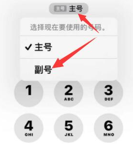 浚县苹果14维修店分享iPhone 14 Pro Max使用副卡打电话的方法 