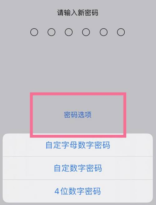 浚县苹果14维修分享iPhone 14plus设置密码的方法 